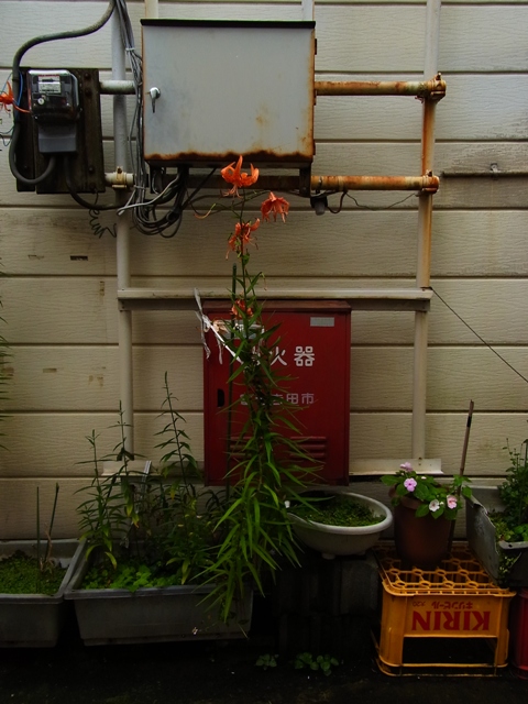 a0087341_20493880.jpg