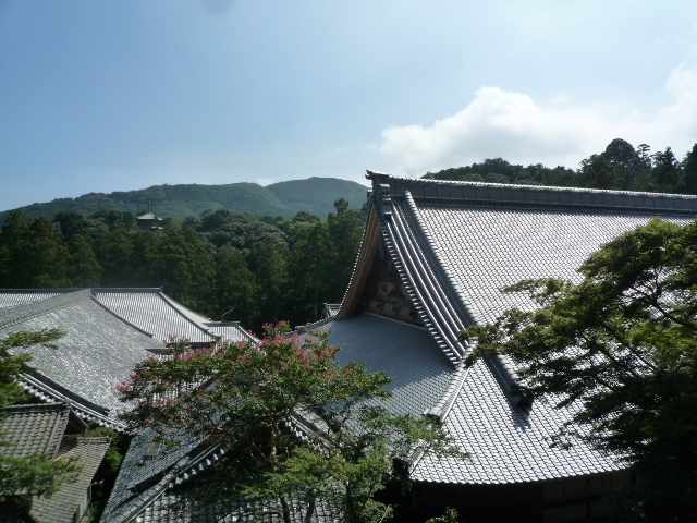 b0041442_2330453.jpg