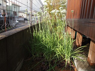 b0199742_1305452.jpg