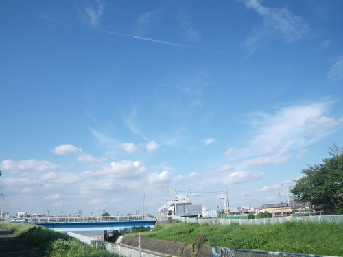d0252642_2336417.jpg
