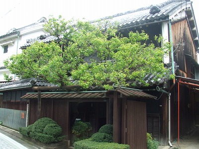 e0173645_11542413.jpg