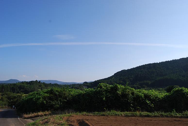 f0000148_2184678.jpg