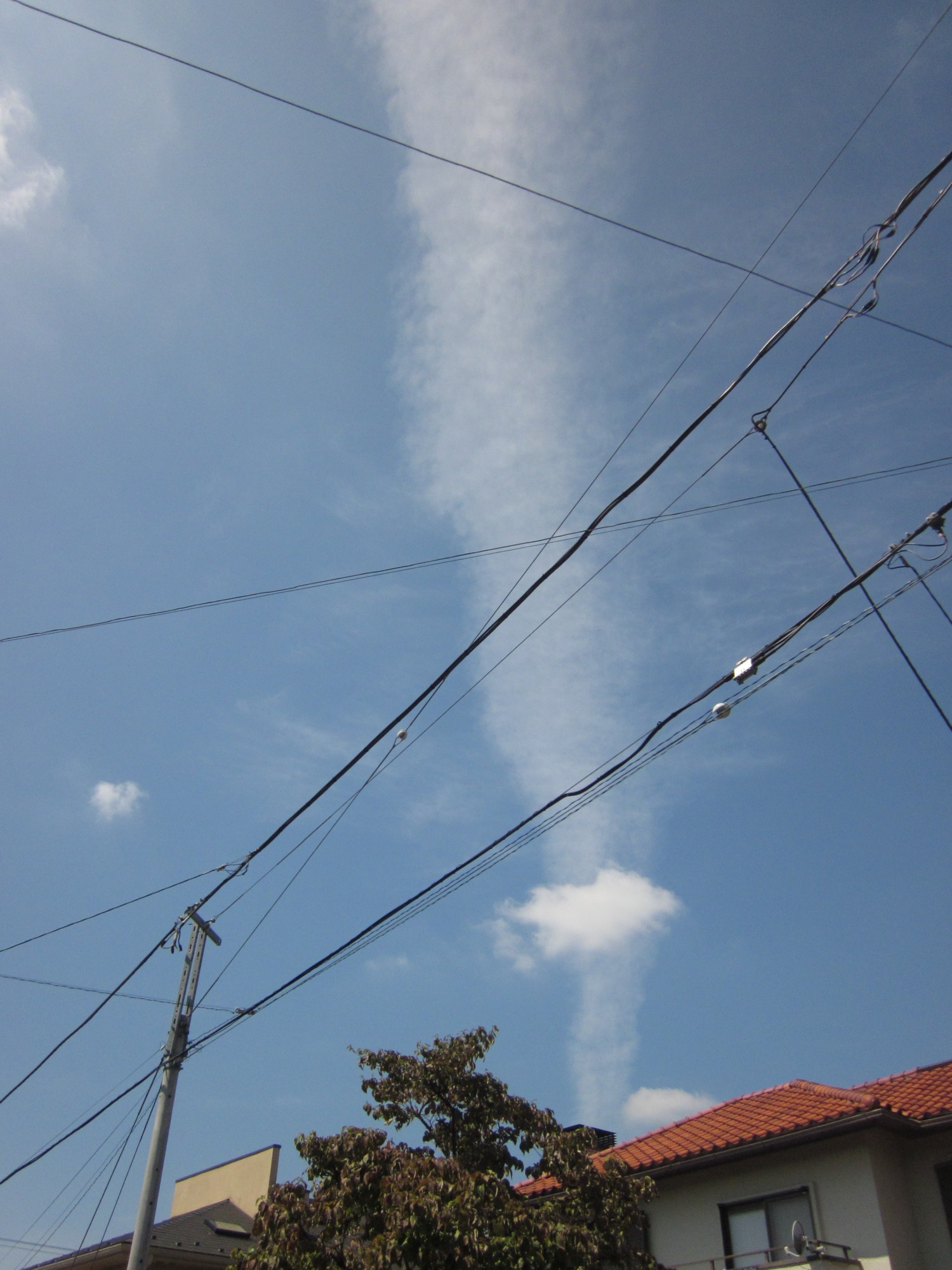 d0075649_12434342.jpg