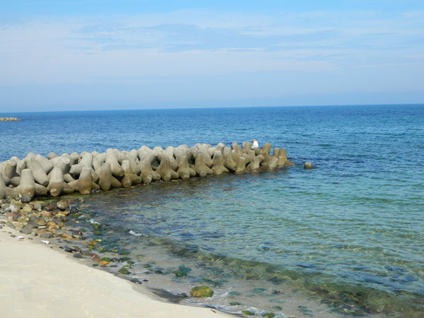 f0214649_10343034.jpg
