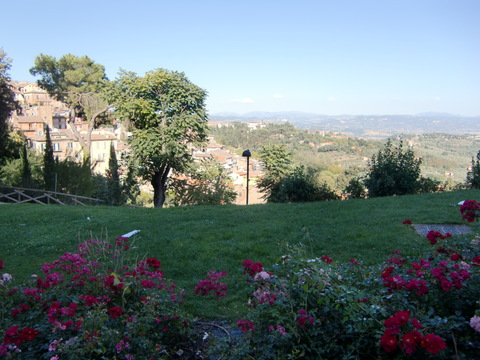c0206352_59576.jpg