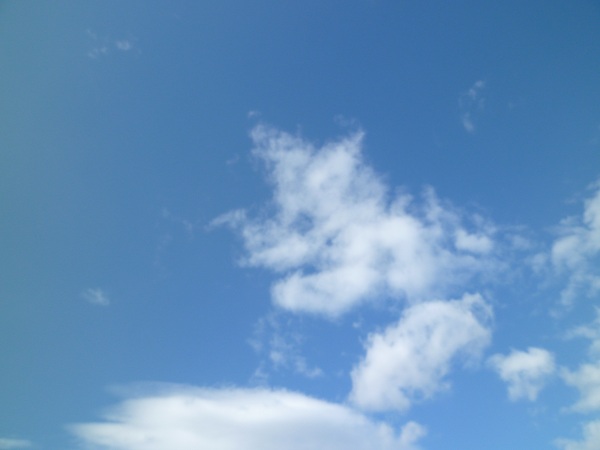 f0227956_15351446.jpg