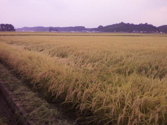 c0074157_22304214.jpg