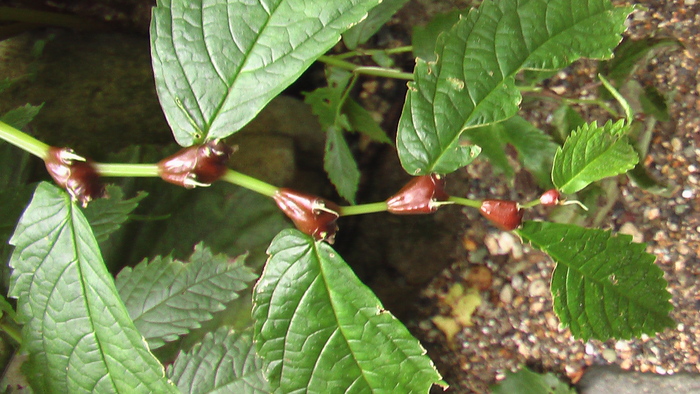 b0208961_2130111.jpg