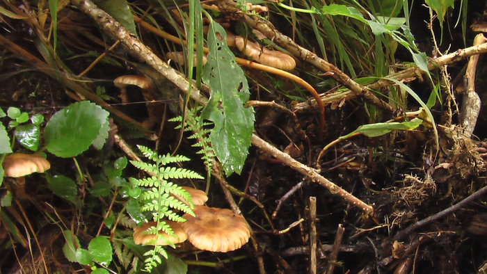 b0208961_2131058.jpg