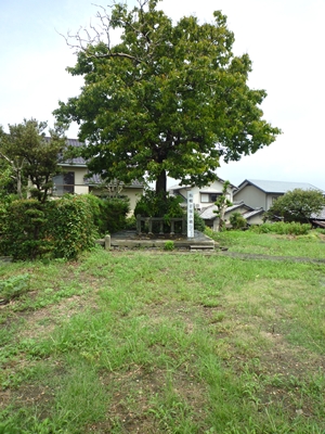 c0222861_1834385.jpg