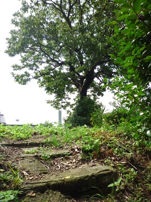 c0222861_1841794.jpg