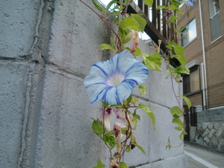 d0105063_19291876.jpg