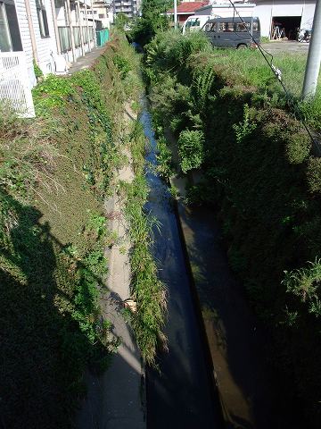 e0045768_222776.jpg