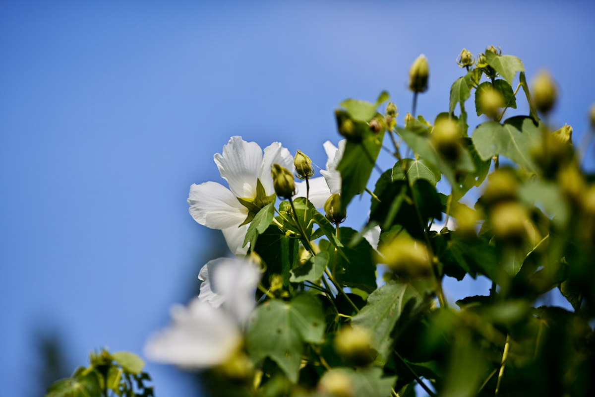 a0083081_16165352.jpg