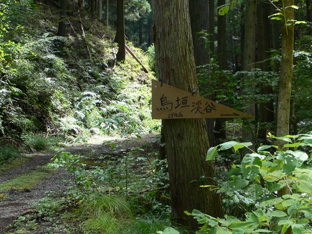 b0042882_81112.jpg
