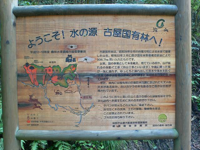 b0042882_85673.jpg
