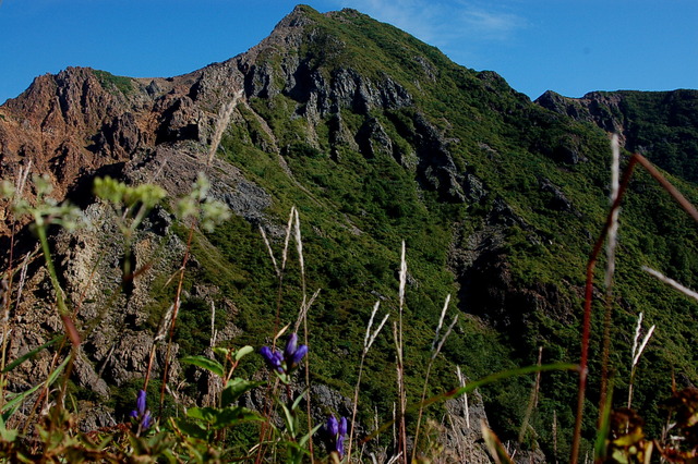 b0203588_16193479.jpg