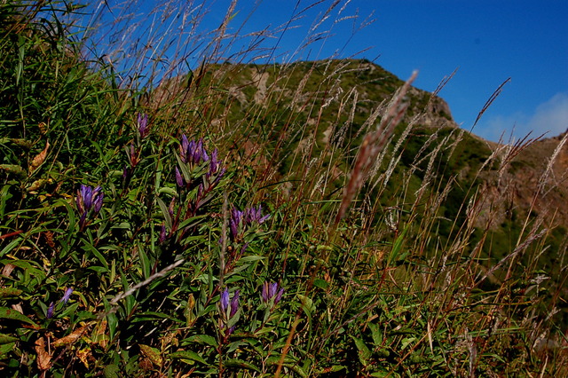 b0203588_1620125.jpg