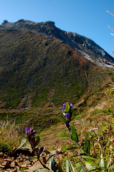 b0203588_16212524.jpg