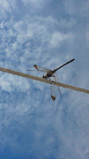e0175288_4205923.jpg