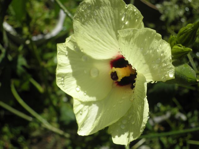 f0130894_21275821.jpg