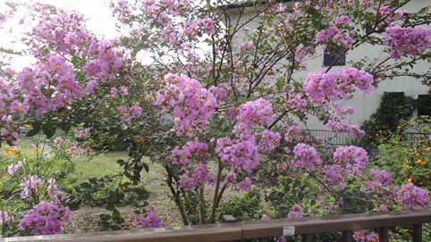 c0094999_7552399.jpg