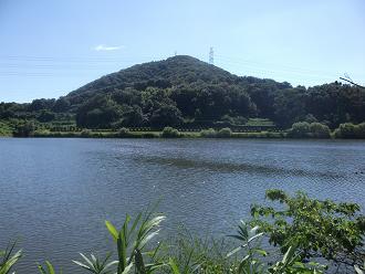 d0240201_1742435.jpg