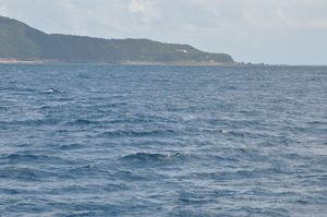 f0048405_16424879.jpg