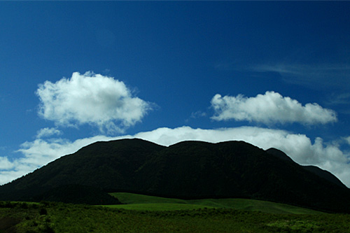 b0014607_14254990.jpg