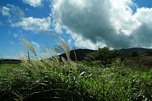 b0014607_14261837.jpg