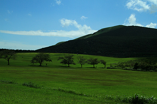 b0014607_1426399.jpg