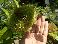 c0190010_21464320.jpg