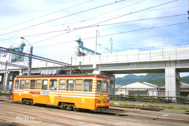 f0129510_1652125.jpg