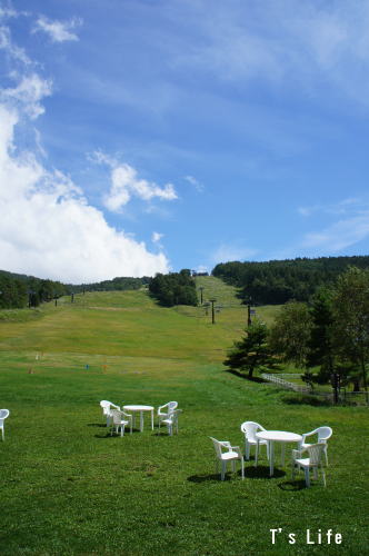 d0179818_16161343.jpg