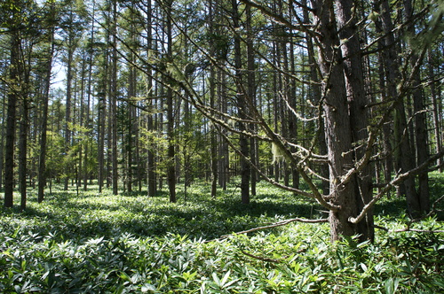 d0179818_16205050.jpg