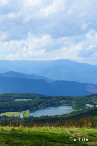 d0179818_1629899.jpg