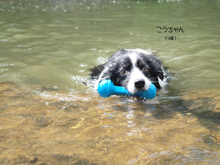f0227228_11354969.jpg