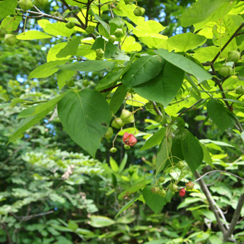 f0227228_11444342.jpg