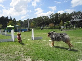 c0075429_22434415.jpg