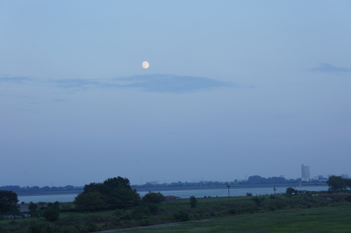 c0110930_23131628.jpg
