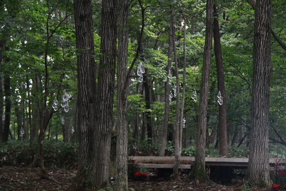 f0045630_956841.jpg