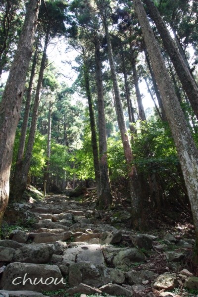 f0146531_0162590.jpg