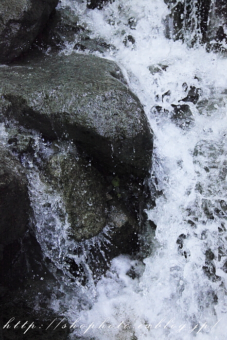 c0189533_18534298.jpg