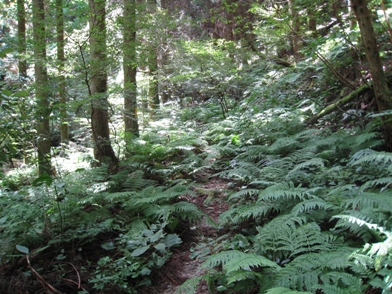 c0077338_18385888.jpg