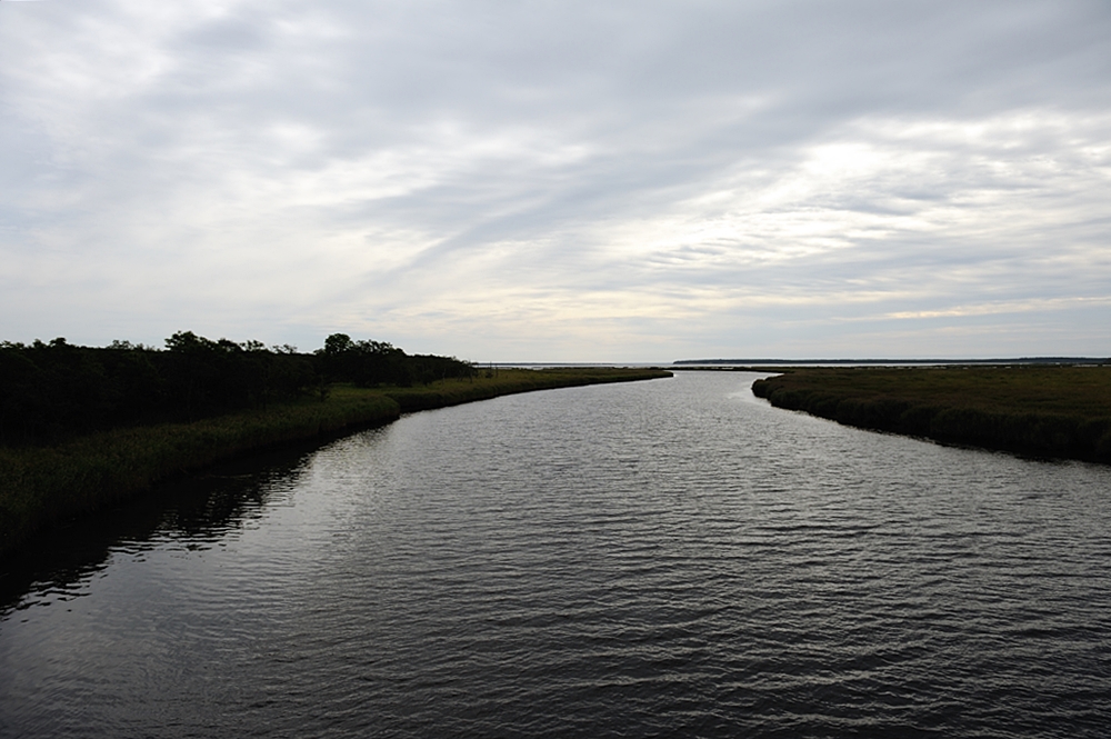c0221838_19522737.jpg