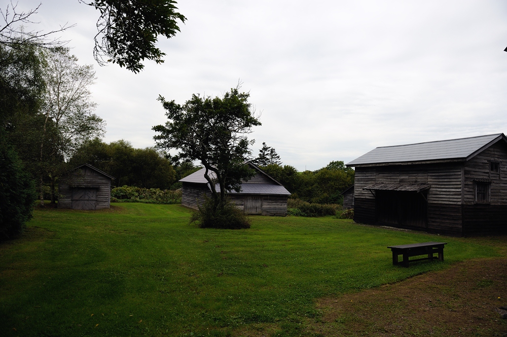 c0221838_19533426.jpg