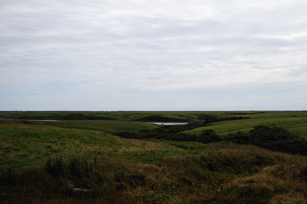 c0221838_2251160.jpg