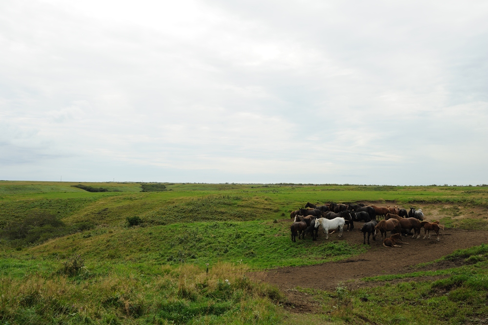 c0221838_22512297.jpg