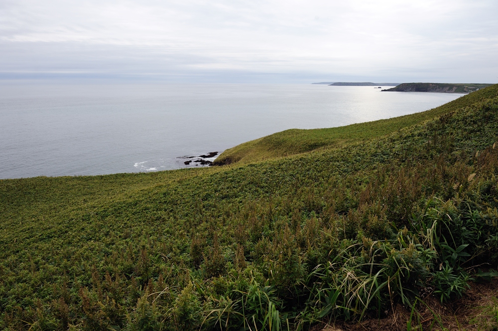 c0221838_233191.jpg