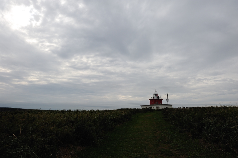 c0221838_2335664.jpg